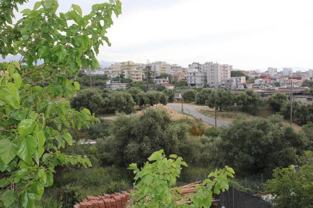 Άνετο Και Πολυτελές Οροφοδιαμέρισμα 2 La Canea Esterno foto